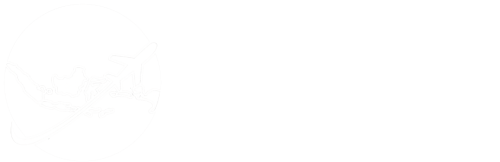 SARANA TRAVEL